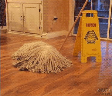 dog-mop-caution